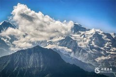 1993年屬雞今年財運如何？1993年屬雞2025年的幸運色