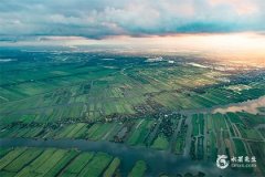 2025屬龍要小心一個人：屬兔、屬牛、屬龍、屬狗