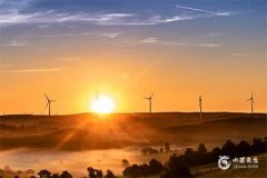 73年牛女最旺颜色，73年属牛52岁有一灾