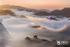 2025年屬豬大發橫財，2025年屬豬人最旺的顏色