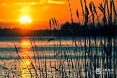 2023年5月黄道吉日一览表 2023年5月最好的黄道吉日