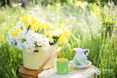 2024年10月最吉利的日子，2024年10月黄道吉日查询