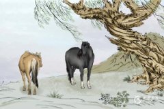 屬馬人不宜養植植物指南：招財旺運需避開