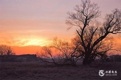 发现氵字旁好听的女孩名字