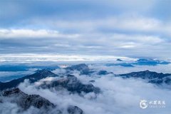 2025年屬兔大發橫財，2025屬兔最忌四種東西