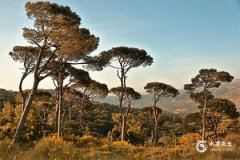 属龙本命年2024年佩戴什么？