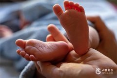 2025年蛇寶寶五行屬性解析及影響