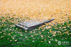 老人死在哪个时辰对后人最好？人刚死能听到亲人的哭吗？