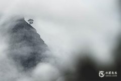 屬兔的人不適合戴什麼首飾？屬兔的人最大的靠山是誰？