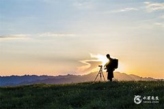 1995年屬什麼生肖：亥豬年的詳細解析