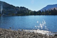 2025屬牛要小心一個人：屬羊、屬狗、屬馬