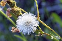 2025蛇寶寶出生吉時：早上VS下午優劣分析