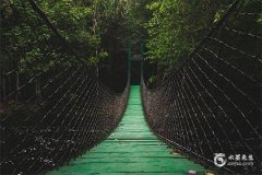 2024年出生的龍寶寶是什麽命？2024年屬龍幾月出生好？