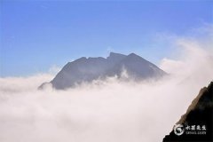 2025木蛇年火命寶寶：取名指南與五行命理