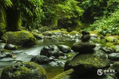 2024年10月黄道吉日查询 2024年10月黄道吉日一览表