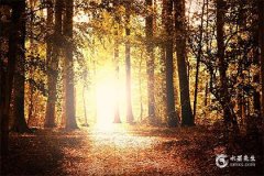 蛇年本命年红绳戴在右手还是左手？红绳的佩戴方法