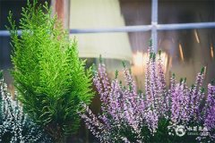 五行属土最旺的字 土属性的字寓意好的名字