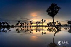 2025年蛇寶寶五行缺金：起 