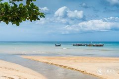 2025生肖狗下半年運勢好過上半年分析