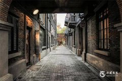 2005年屬雞在2025年學業如何？2005年生肖雞戴什麼助學業？