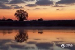 今年屬龍的要佩戴什麼比較好2025？2025年屬龍要註意什麼？