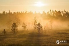 宝剑七正位对方的真心