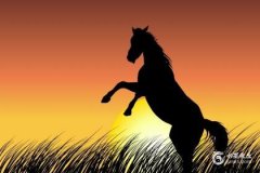 2025屬馬要小心一個人，屬馬人的暗中貴人是誰？