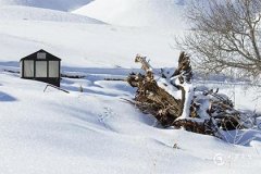 屬牛2025的特大貴人：屬鼠、屬猴、屬蛇、屬豬