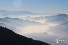 属蛇最旺的6个字，什么字最旺属蛇人