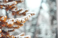 2024年属龙本命年注意什么？