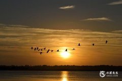 19岁属鸡和20岁属猴相配吗-属鸡女和属猴男适配度如何