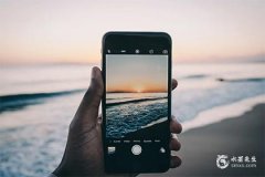 今年屬鼠的犯太歲嗎2025？2025屬鼠最忌四種東西