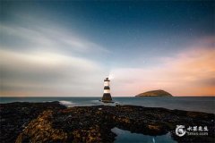 2025年出生：生肖五行與性 