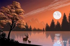 2024年11月黄道吉日一览表，2024年11月黄道吉日查询