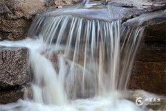 2025年蛇寶寶中午11點17出生的時辰解