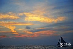 不宜养猫的4个属相 什么属相能养猫能旺财