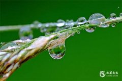 千金难买子时命男孩为什么？子时出生的男孩五行缺什么？