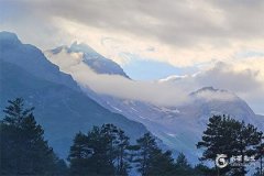 立碑最忌三个属相：风水学中的立碑忌讳