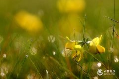 1996年屬鼠一生三大劫難，1996年屬鼠是什麼命？