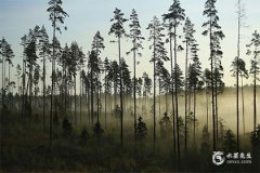 屬龍人2024年佩戴什麽好