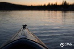 2024年属龙的本命年好吗？详解属龙人全年运势