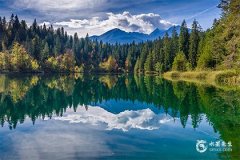 2025年屬牛女血光之災，2025年屬牛女最旺顏色