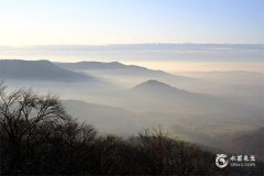 紫微鬥數看發展的方位：古老智慧指引現代人生