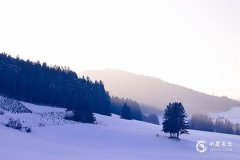 2025年出生五行缺金的男寶取名指南