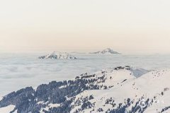 2000年屬龍今年財運怎麼樣？2000年屬龍2025年的幸運色