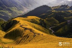 2025蛇寶寶淩晨4點19分出生時辰與命