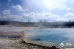 1985年屬牛三大坎，1985年屬牛是什麼命？