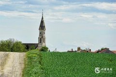 今年62歲屬什麼生肖