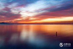 属蛇补木最旺的字 2025木蛇最吉利的名字