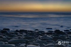 屬豬2025的特大貴人：屬虎、屬兔、屬羊